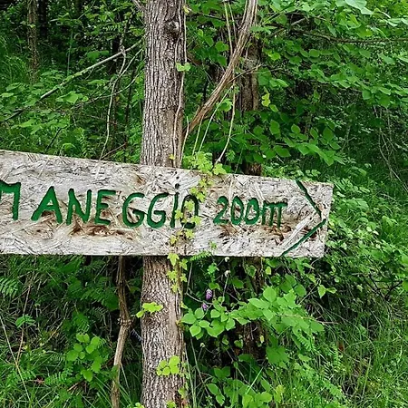 Rico Masseria Nel Parco Apartament *