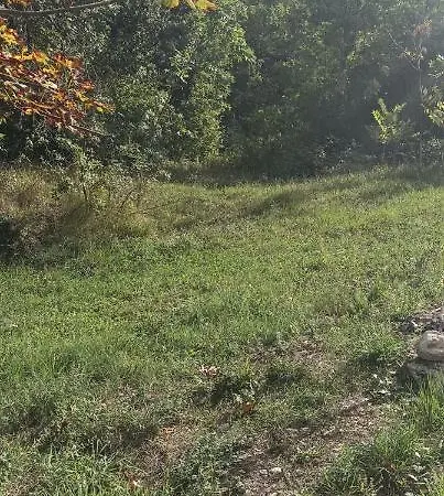 Rico Masseria Nel Parco Apartament *